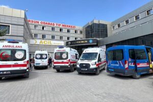Van'da göle giren 2 kardeş hayatını kaybetti