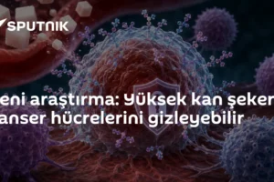 Yeni araştırma: Yüksek kan şekeri kanser hücrelerini gizleyebilir