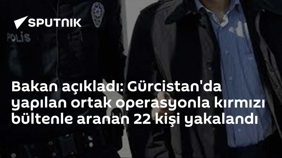 Bakan açıkladı: Gürcistan'da yapılan ortak operasyonla kırmızı bültenle aranan 22 kişi yakalandı