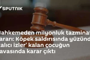 Mahkemeden milyonluk tazminat kararı: Köpek saldırısında yüzünde 'kalıcı izler' kalan çocuğun davasında karar çıktı