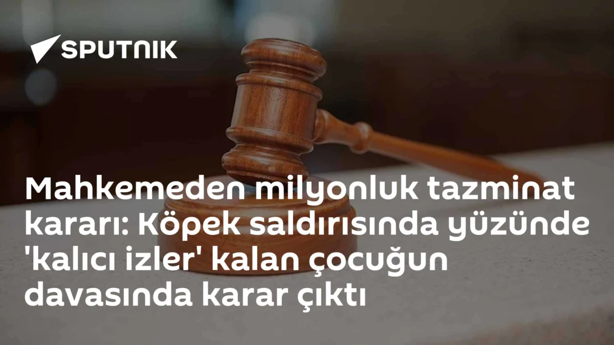Mahkemeden milyonluk tazminat kararı: Köpek saldırısında yüzünde 'kalıcı izler' kalan çocuğun davasında karar çıktı