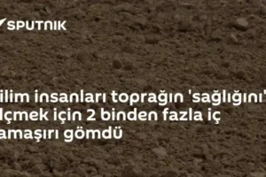 Bilim insanları toprağın 'sağlığını' ölçmek için 2 binden fazla iç çamaşırı gömdü
