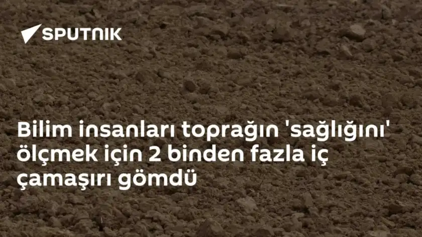 Bilim insanları toprağın 'sağlığını' ölçmek için 2 binden fazla iç çamaşırı gömdü