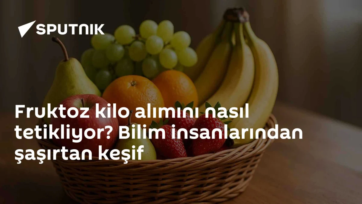 Fruktoz kilo alımını nasıl tetikliyor? Bilim insanlarından şaşırtan keşif