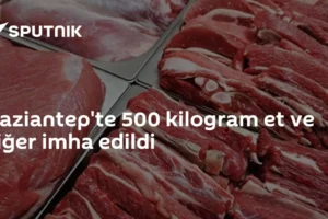 Gaziantep'te 500 kilogram et ve ciğer imha edildi