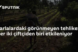 Tarlalardaki görünmeyen tehlike: Her iki çiftçiden biri etkileniyor