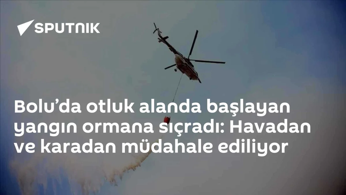 Bolu’da otluk alanda başlayan yangın ormana sıçradı: Havadan ve karadan müdahale ediliyor