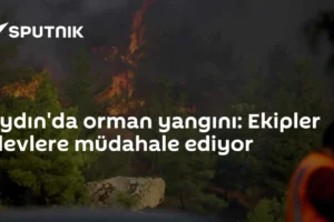 Aydın'da orman yangını: Ekipler alevlere müdahale ediyor
