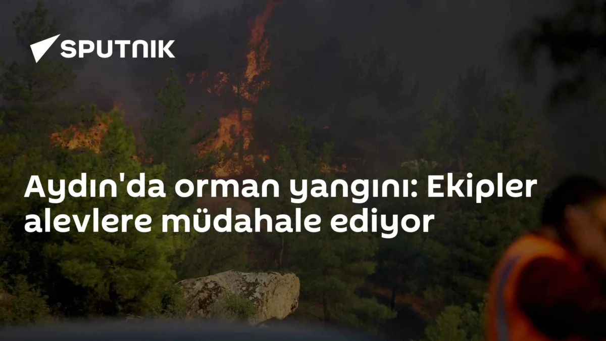Aydın'da orman yangını: Ekipler alevlere müdahale ediyor