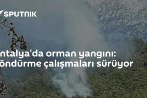 Antalya'da orman yangını: Söndürme çalışmaları sürüyor