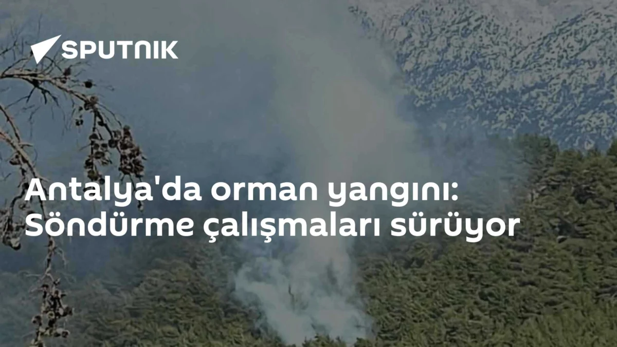 Antalya'da orman yangını: Söndürme çalışmaları sürüyor