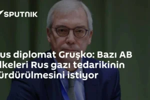 Rus diplomat Gruşko: Bazı AB ülkeleri Rus gazı tedarikinin sürdürülmesini istiyor