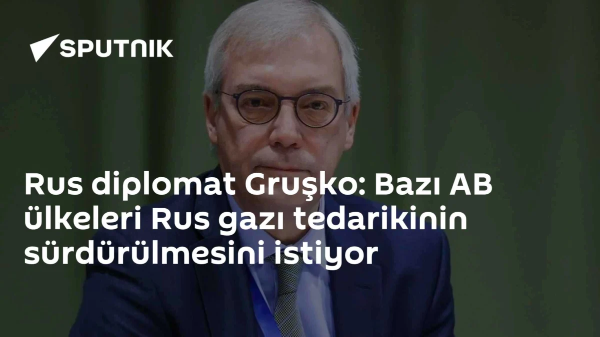 Rus diplomat Gruşko: Bazı AB ülkeleri Rus gazı tedarikinin sürdürülmesini istiyor