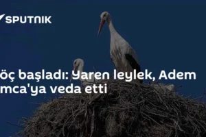 Göç başladı: Yaren leylek, Adem Amca'ya veda etti
