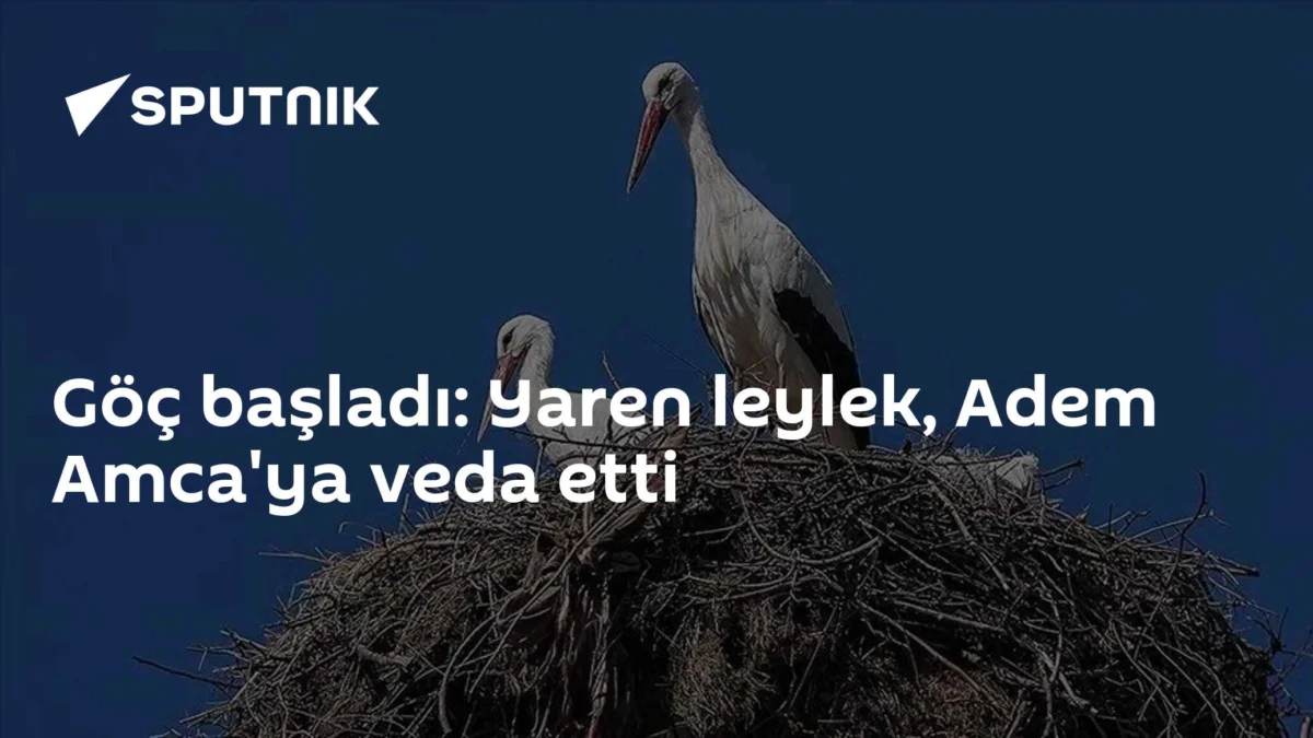 Göç başladı: Yaren leylek, Adem Amca'ya veda etti