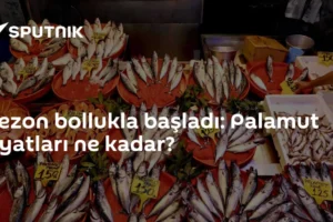 Sezon bollukla başladı: Palamut fiyatları ne kadar?