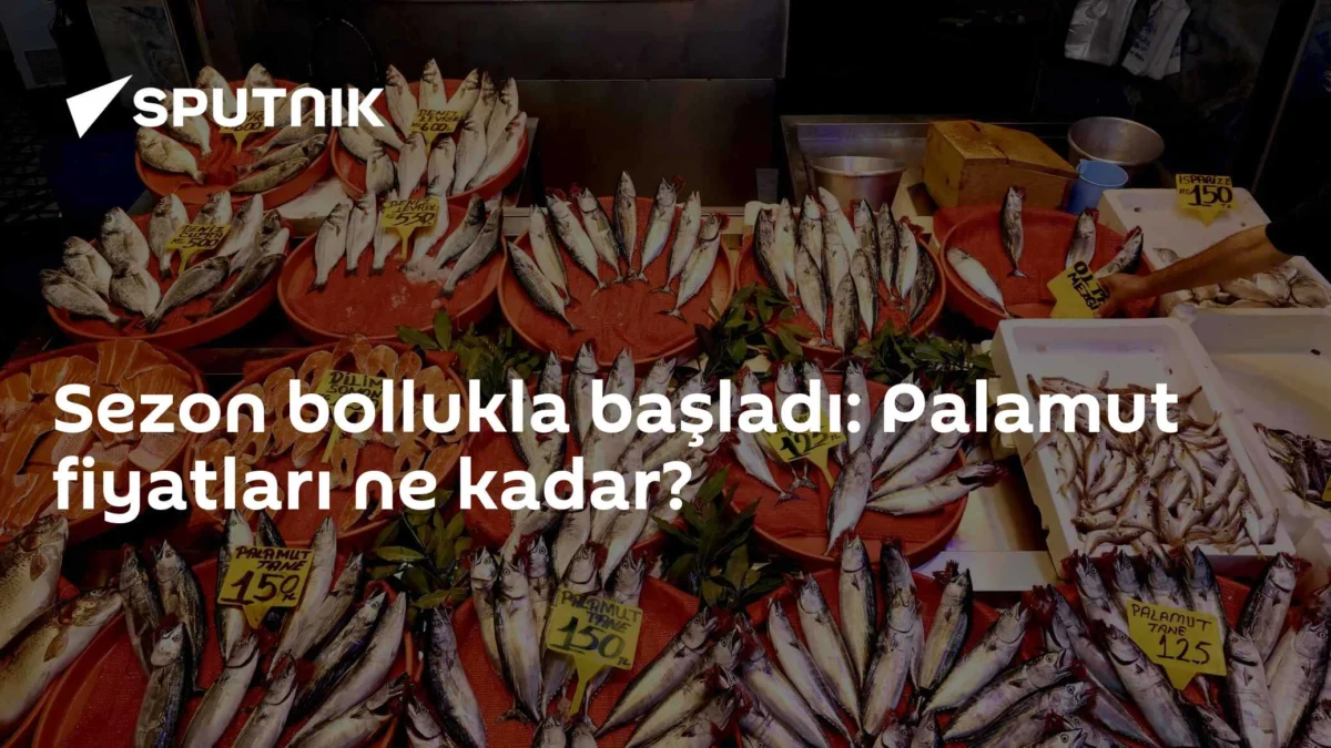 Sezon bollukla başladı: Palamut fiyatları ne kadar?