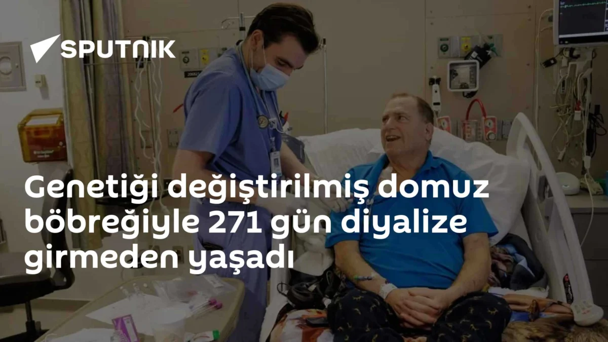 Genetiği değiştirilmiş domuz böbreğiyle 271 gün diyalize girmeden yaşadı