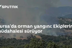 Bursa'da orman yangını: Ekiplerin müdahalesi sürüyor