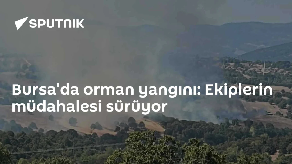 Bursa'da orman yangını: Ekiplerin müdahalesi sürüyor
