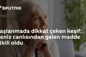 Yaşlanmada dikkat çeken keşif: Deniz canlısından gelen madde etkili oldu