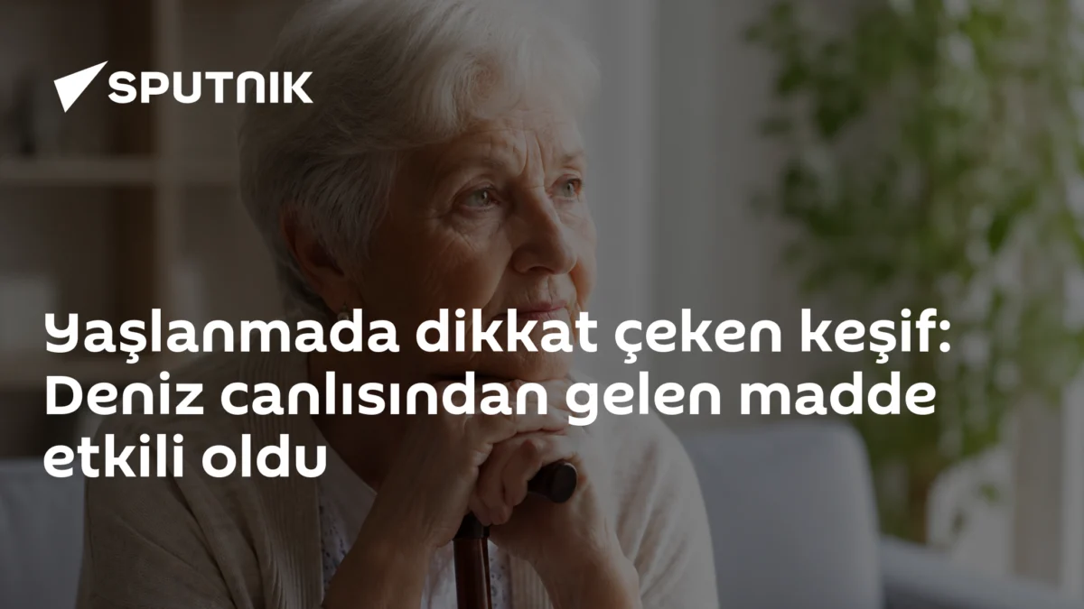 Yaşlanmada dikkat çeken keşif: Deniz canlısından gelen madde etkili oldu