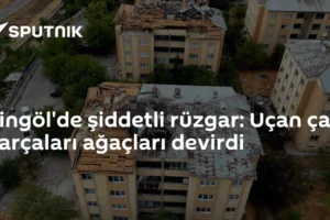 Bingöl'de şiddetli rüzgar: Uçan çatı parçaları ağaçları devirdi