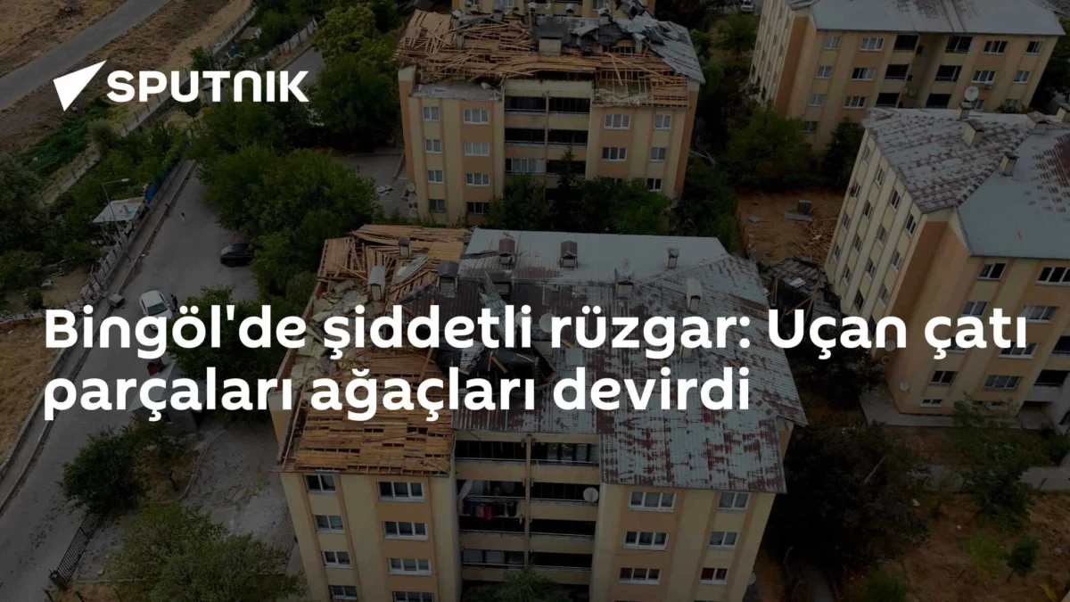 Bingöl'de şiddetli rüzgar: Uçan çatı parçaları ağaçları devirdi