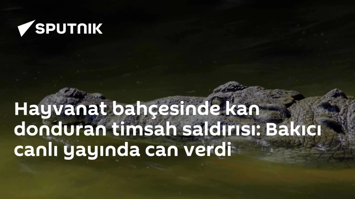 Hayvanat bahçesinde kan donduran timsah saldırısı: Bakıcı canlı yayında can verdi