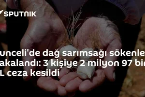 Tunceli'de dağ sarımsağı sökenler yakalandı: 3 kişiye 2 milyon 97 bin TL ceza kesildi