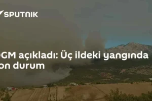 OGM açıkladı: Üç ildeki yangında son durum