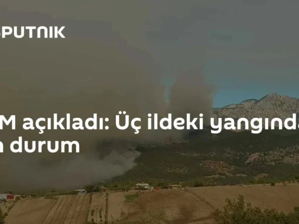 OGM açıkladı: Üç ildeki yangında son durum