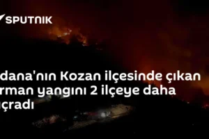 Adana'nın Kozan ilçesinde çıkan orman yangını 2 ilçeye daha sıçradı
