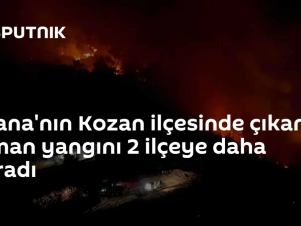 Adana'nın Kozan ilçesinde çıkan orman yangını 2 ilçeye daha sıçradı