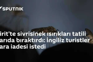Girit'te sivrisinek ısırıkları tatili yarıda bıraktırdı: İngiliz turistler para iadesi istedi