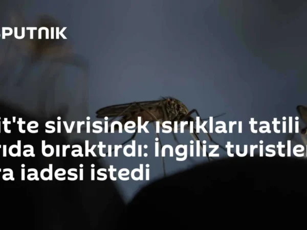 Girit'te sivrisinek ısırıkları tatili yarıda bıraktırdı: İngiliz turistler para iadesi istedi