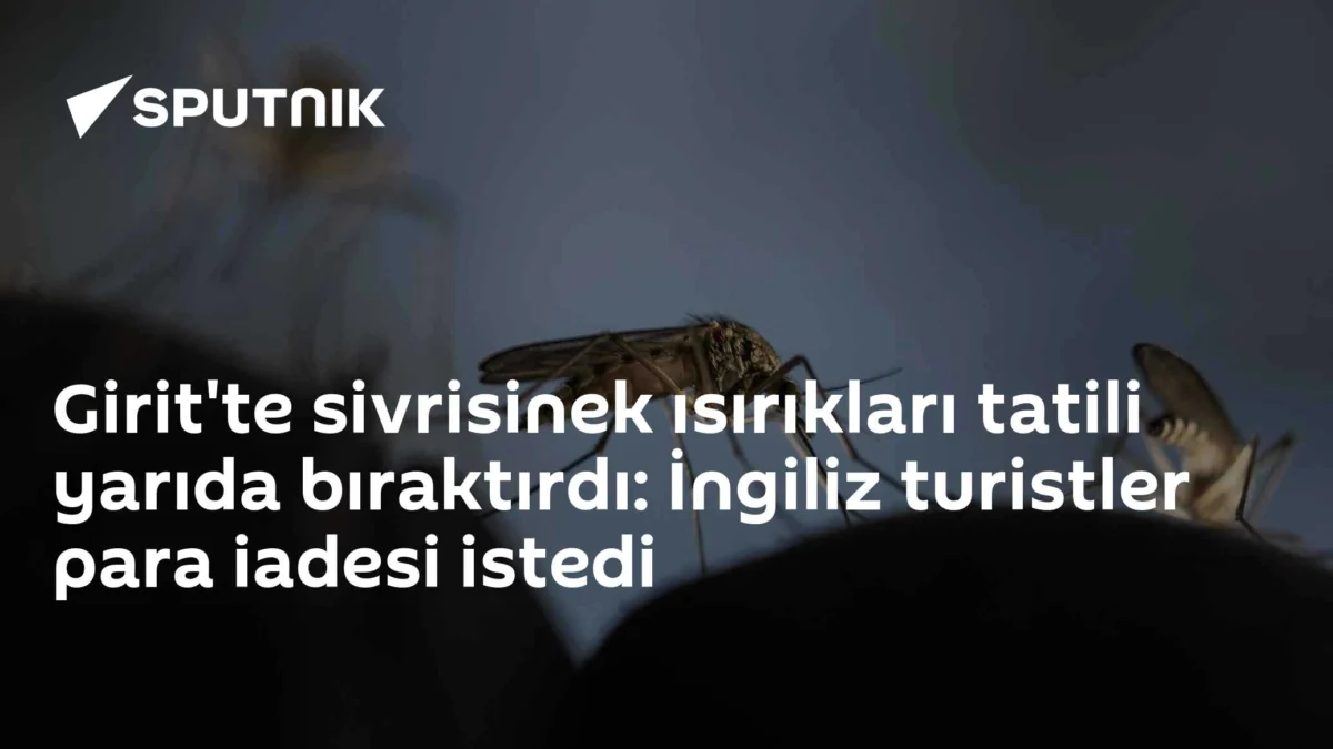 Girit'te sivrisinek ısırıkları tatili yarıda bıraktırdı: İngiliz turistler para iadesi istedi