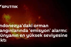 Endonezya'daki orman yangınlarında 'emisyon' alarmı: Dünyanın en yüksek seviyesine çıktı