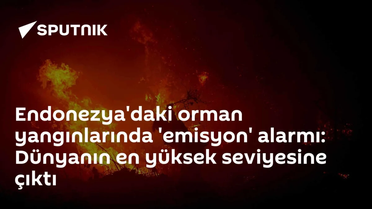 Endonezya'daki orman yangınlarında 'emisyon' alarmı: Dünyanın en yüksek seviyesine çıktı