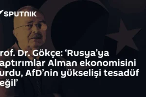 Prof. Dr. Gökçe: ‘Rusya’ya yaptırımlar Alman ekonomisini vurdu, AfD’nin yükselişi tesadüf değil’
