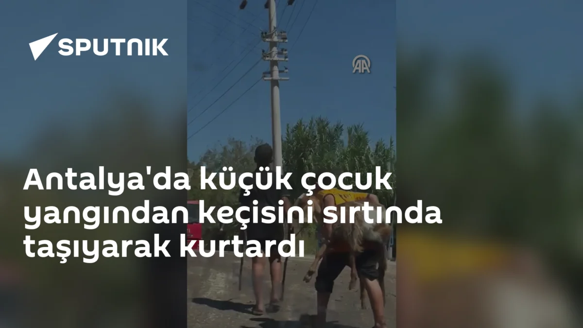 Antalya'da küçük çocuk yangından keçisini sırtında taşıyarak kurtardı