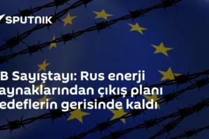 AB Sayıştayı: Rus enerji kaynaklarından çıkış planı hedeflerin gerisinde kaldı