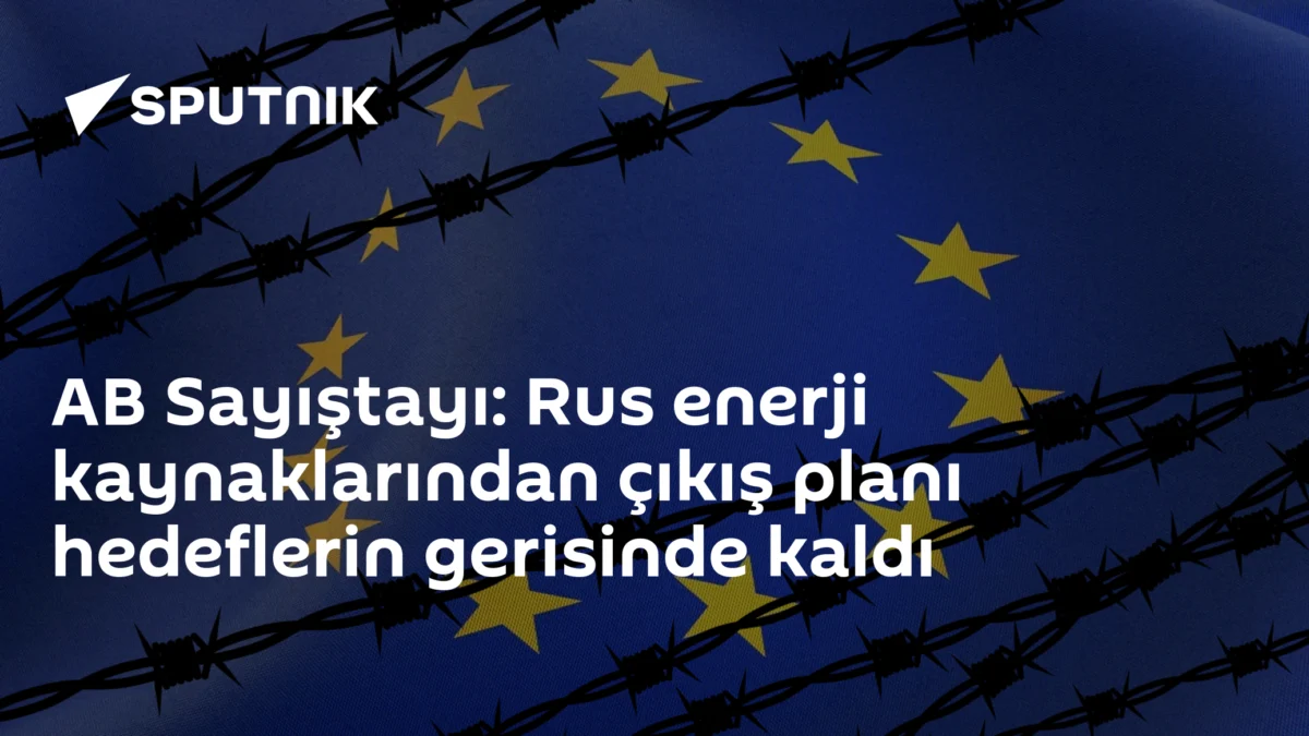 AB Sayıştayı: Rus enerji kaynaklarından çıkış planı hedeflerin gerisinde kaldı