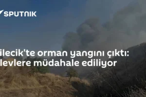 Bilecik'te orman yangını çıktı: Alevlere müdahale ediliyor