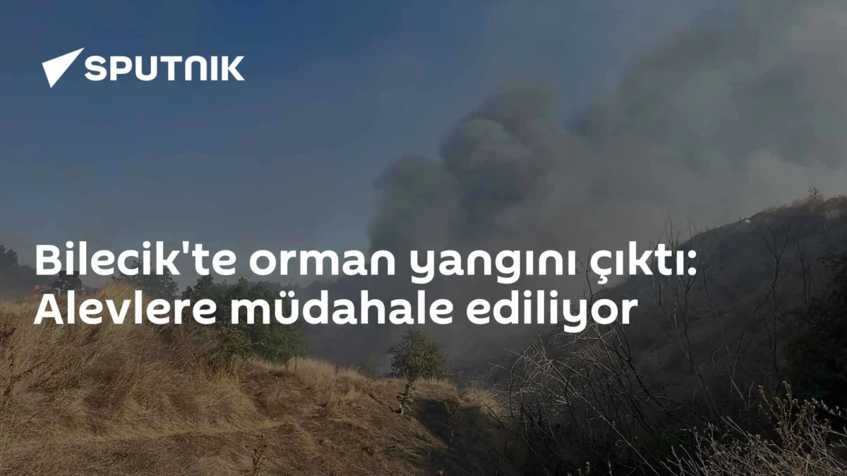 Bilecik'te orman yangını çıktı: Alevlere müdahale ediliyor