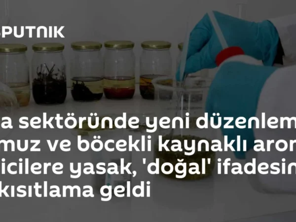 Gıda sektöründe yeni düzenleme: Domuz ve böcekli kaynaklı aroma vericilere yasak, 'doğal' ifadesine de kısıtlama geldi