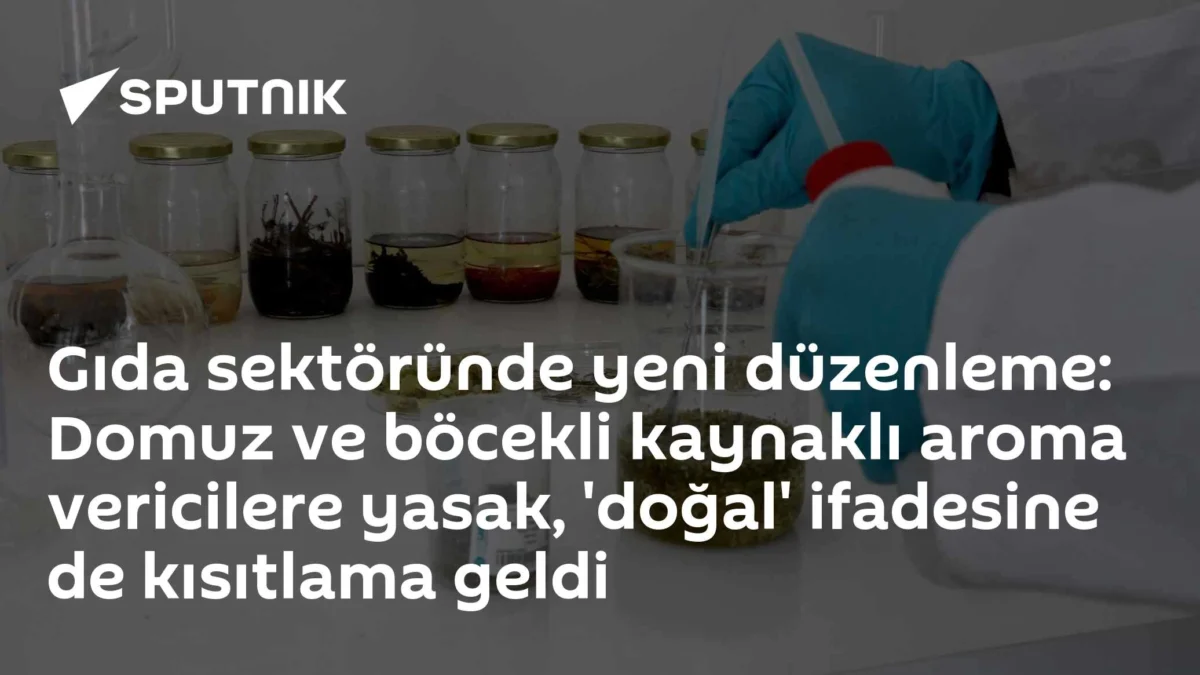 Gıda sektöründe yeni düzenleme: Domuz ve böcekli kaynaklı aroma vericilere yasak, 'doğal' ifadesine de kısıtlama geldi