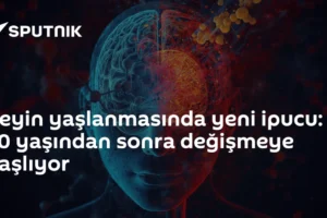 Beyin yaşlanmasında yeni ipucu: 50 yaşından sonra değişmeye başlıyor