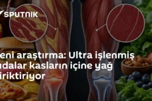 Yeni araştırma: Ultra işlenmiş gıdalar kasların içine yağ biriktiriyor