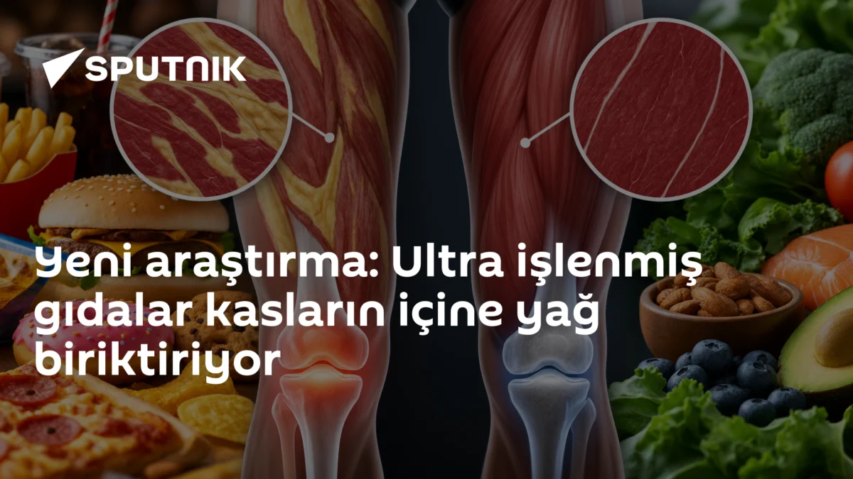 Yeni araştırma: Ultra işlenmiş gıdalar kasların içine yağ biriktiriyor
